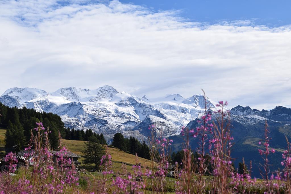 Le Rocher Hotel Champoluc Luaran gambar